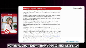 video_24c_1750909222